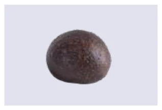 Squid Ink Brioche Roll