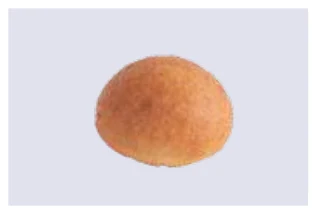 Mini Tomato Brioche Roll